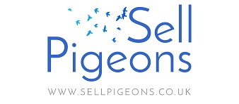 Sell Pigeons